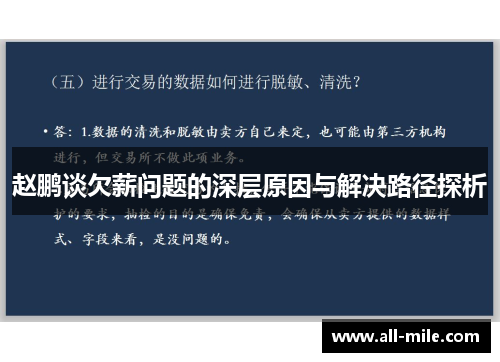 赵鹏谈欠薪问题的深层原因与解决路径探析