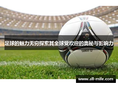 足球的魅力无穷探索其全球受欢迎的奥秘与影响力