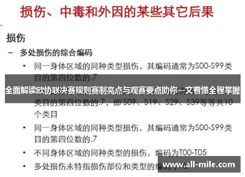 全面解读欧协联决赛规则赛制亮点与观赛要点助你一文看懂全程掌握