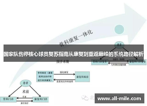 国家队伤停核心球员复苏指南从康复到重返巅峰的系统路径解析